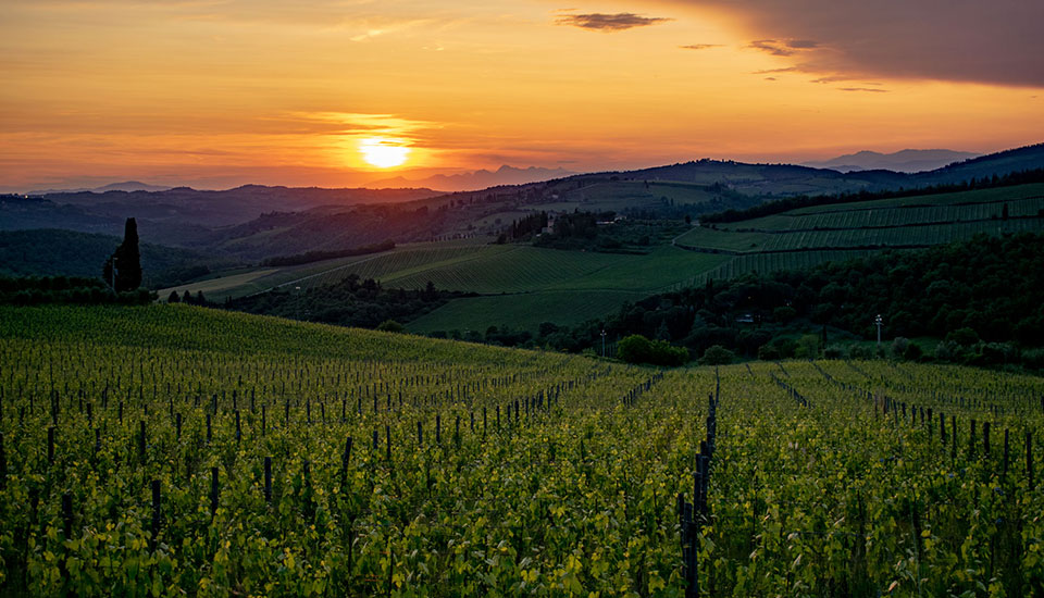 Best Tuscany tours